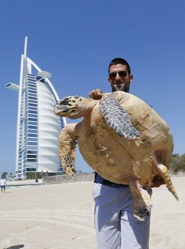 Novak Djokovic poses with a hawksbill sea turtle that is under rehabilitation in Dubai on February 24, 2013
