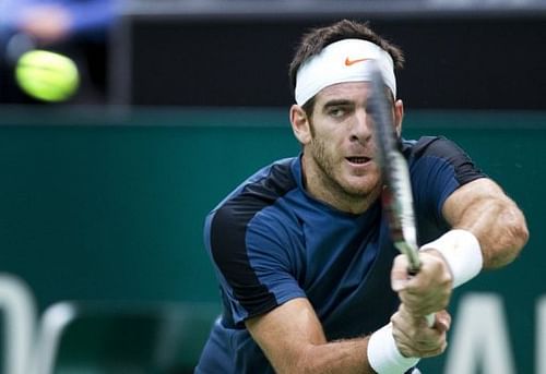 Argentinia's Juan Martin Del Potro during an ATP World Tennis Tournament in Rotterdam on February 17, 2013