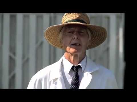 Video: Funny cricket commercial on the negative effects of alcohol