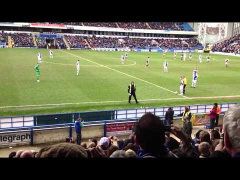 Video: Another chicken invasion at Blackburn's Ewood Park