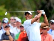 594x448xwoods-1465261.jpg.pagespeed.ic.8a9fZrNLPn