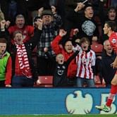 Morgan Schneiderlin: Southampton’s tenacious Bull Terrier