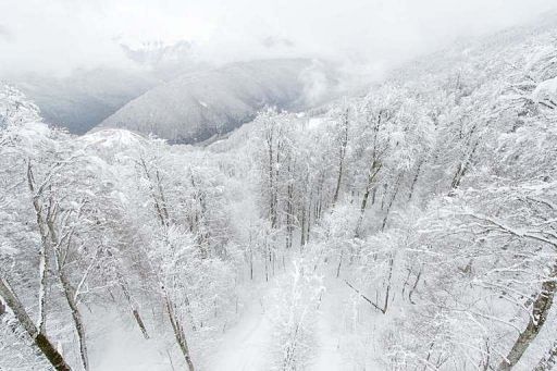 Snow-covered trees and mountains above Rosa Khutor, one of the 2014 Winter Olympic venues, in Sochi on February 19, 2013
