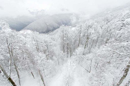 Russia saves up snow to ensure white Olympics