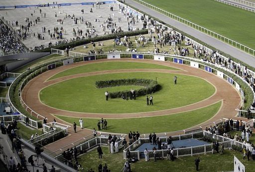 Dubai&#039;s Meydan racecourse on January 28, 2010