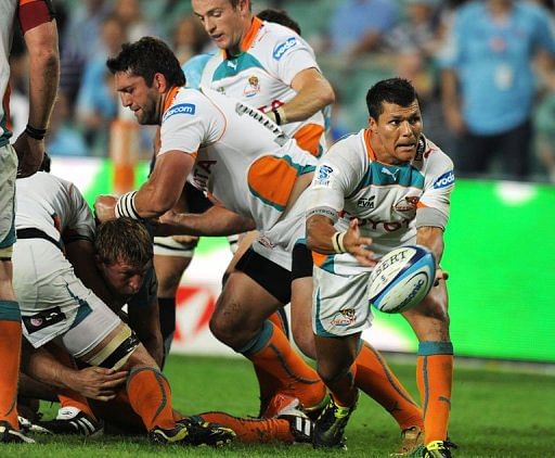 Cheetahs climb to fifth after record equalling win