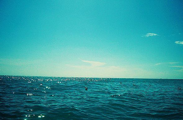 Polio-stricken man completes 42 km Arabian Sea swimathon