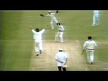 Video: Record - 8 ducks in a single ODI Match