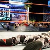 WrestleMania 24: End of the Nature boy