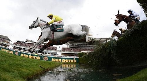 Neptune Collonges (centre), ridden by Daryl Jacob, on its way to winning the Grand National at Aintree on April 14, 2012 Neptune Collonges (centre), ridden by Daryl Jacob, on its way to winning the Grand National at Aintree on April 14, 2012