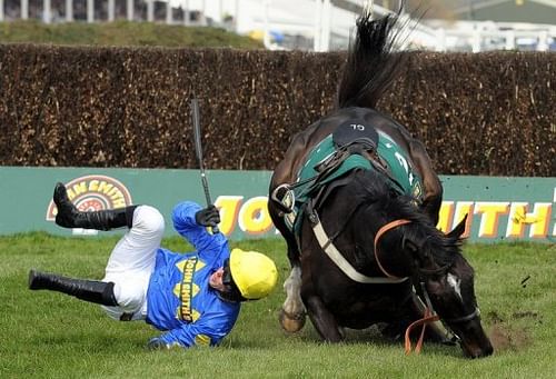 Graham Lee on Bedlam Boy falls at the last fence in the John Smiths Maghull Novices race at Aintree on April 10, 2010 Graham Lee on Bedlam Boy falls at the last fence in the John Smiths Maghull Novices race at Aintree on April 10, 2010
