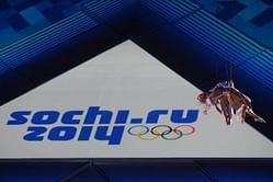 Olympic host Sochi under fire for plan to kill stray dogs, cats