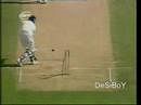Video: Cricket mashup with McGrath, Warne and Akram