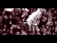Video: Tribute to José Mourinho - Football's Greatest Managers