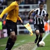 Ben Arfa playing through pain - Alan Pardew