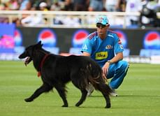 The quick-'fix' that cricket needs