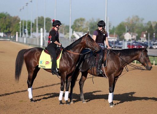 Orb stands on the track during the morning training for the 2013 Kentucky Derby on May 1, 2013, in Louisville, Kentucky