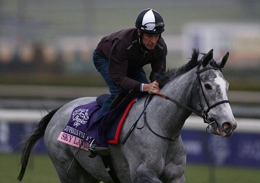 Sky Lantern ends Hughes' British Classic pain
