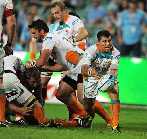 South African Central Cheetahs play a Super 15 rugby union match in Sydney on March 19, 2011.
