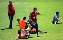 Casillas ready to play - Spain manager Del Bosque