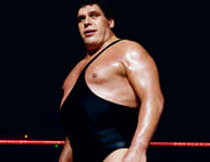 Andre the Giant