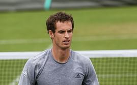 Wimbledon 2013: Murray takes spotlight after US misery