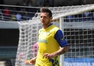 AC Chievo Verona v Torino FC - Serie A