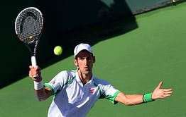 Djokovic to face Del Potro in Wimbledon semis