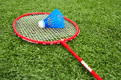 BOP Group bags Bangalore franchise for IBL 2013
