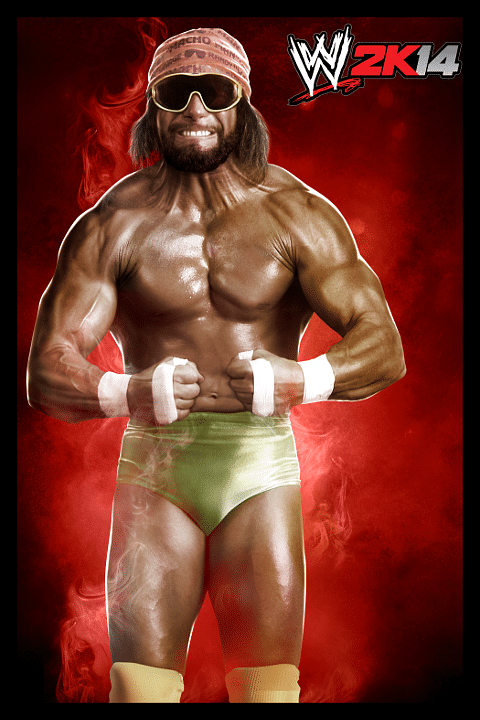 WWE 2K14 Portraits: Steve Austin, The Rock, HBK, Cena and more