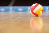 volleyball stock