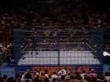 Video: Watch WWF SummerSlam 1990