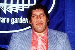 Another legend to feature in WWE2K14 roster?