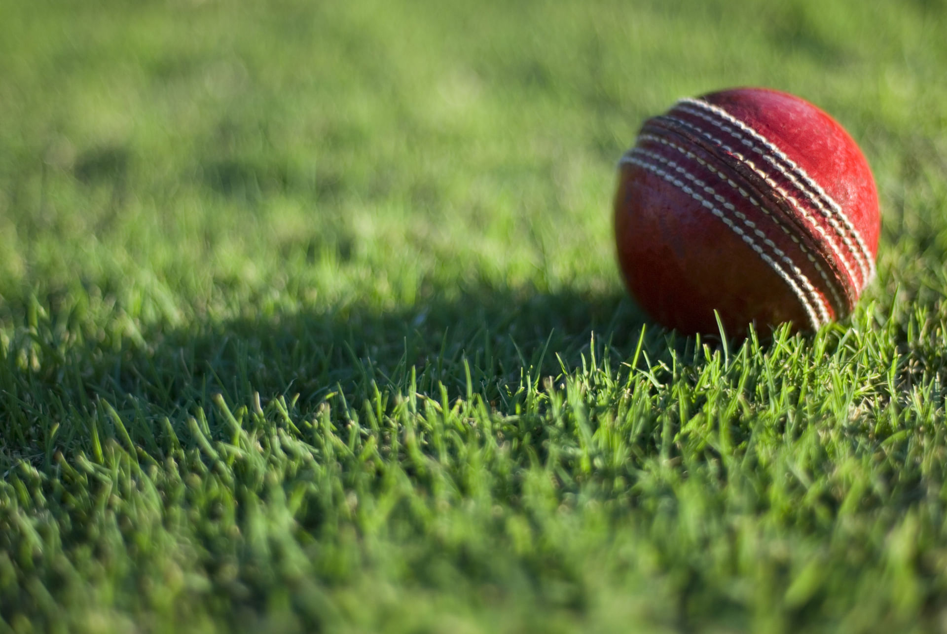 'Cricket still hogs sponsorship pie in India' Sports management experts