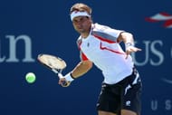 David Ferrer