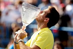 Juan Martin Del Potro wins Citi Open