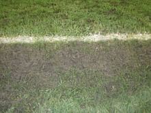 In Pictures - SAFF Championship 2013: Dasarath Stadium in poor state ahead of India - Nepal showdown