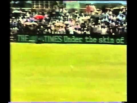 Video: Seagull hit by cricket ball
