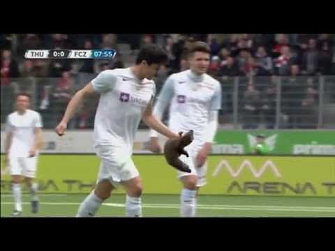 Top 5 animal invasions in football