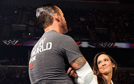 AJ Lee dating CM Punk