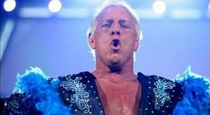 Greatest heels in WWE history – Number 4