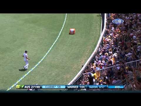 Ashes: Spectator charged over pig incident at Gabba