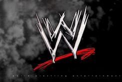 WWE plans to release another animated series in 2014