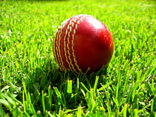 Qatar to host women's T20 and triangular series