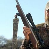 Current wrestlers should think outside the box, says Shawn Michaels