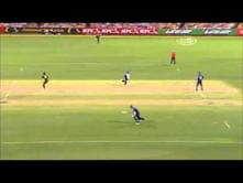 Video: Funny cricket moment - Runner confuses fielding team