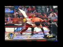 Conversation with Chris Jericho may have expedited Gene Snitsky's WWE release
