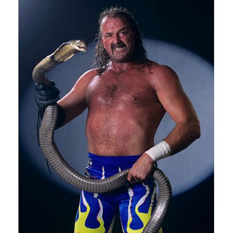 WWE Hall of Fame Class 2014: Jake "the Snake" Roberts