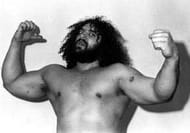 Bruiser Brody