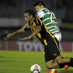 What is happening with the Uruguayan giants?